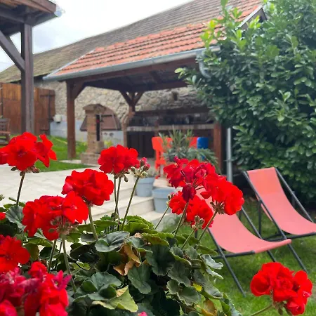 Padlaskincsek Muskatlis Vendeghaz 度假居