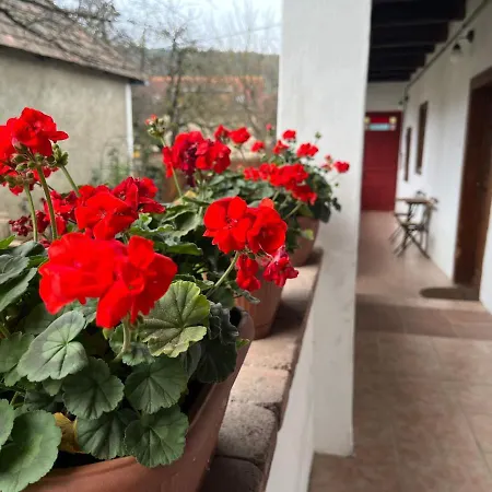 度假居 Padlaskincsek Muskatlis Vendeghaz *