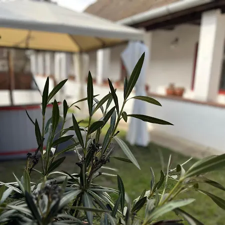 Padlaskincsek Muskatlis Vendeghaz