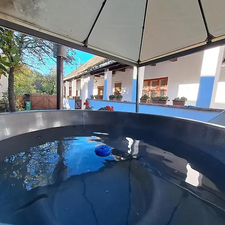 度假居 Padlaskincsek Muskatlis Vendeghaz *