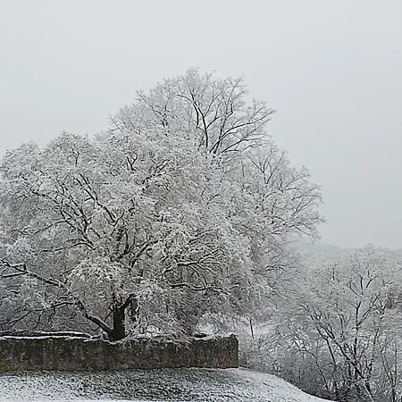 Casa de Férias Padláskincsek Muskátlis
